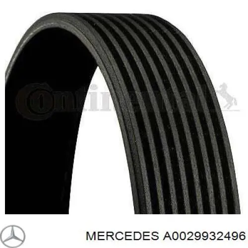 Correia dos conjuntos de transmissão A0029932496 Mercedes
