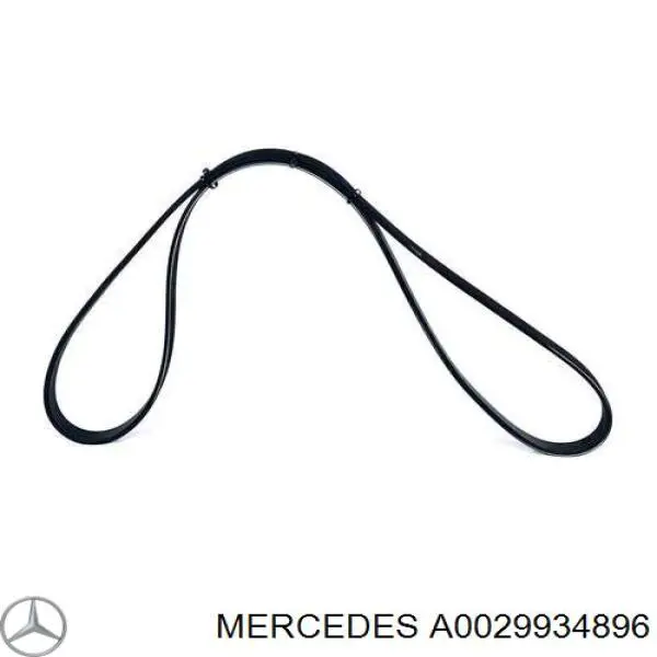 A0029934896 Mercedes Correia dos conjuntos de transmissão