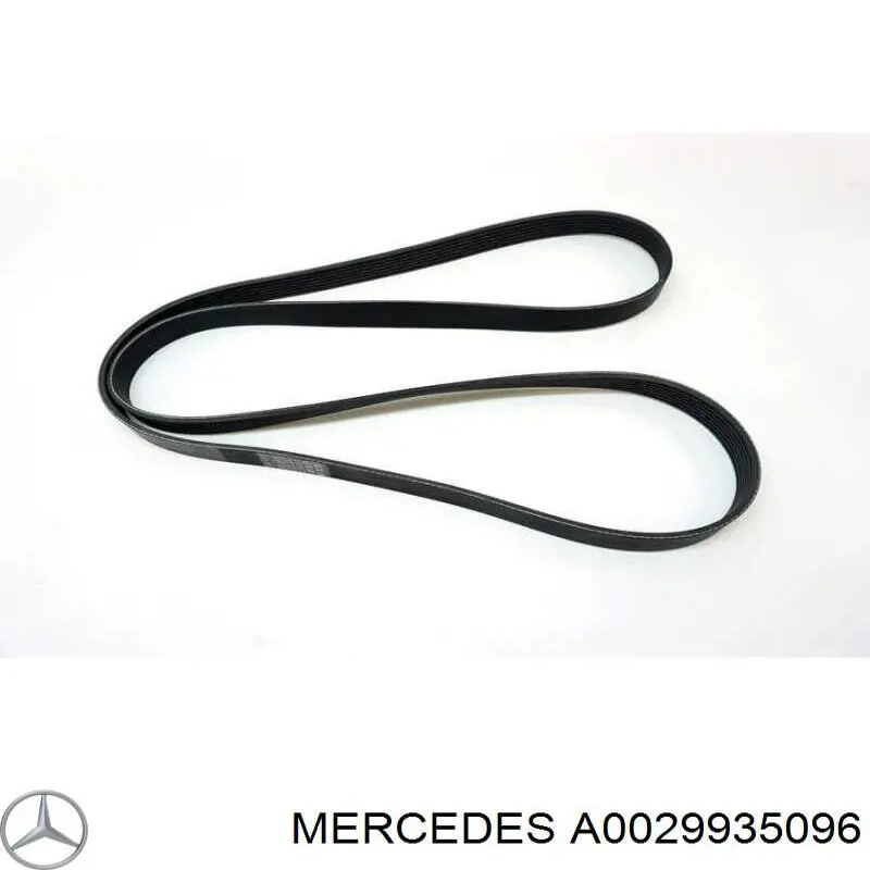 A0029935096 Mercedes Correia dos conjuntos de transmissão