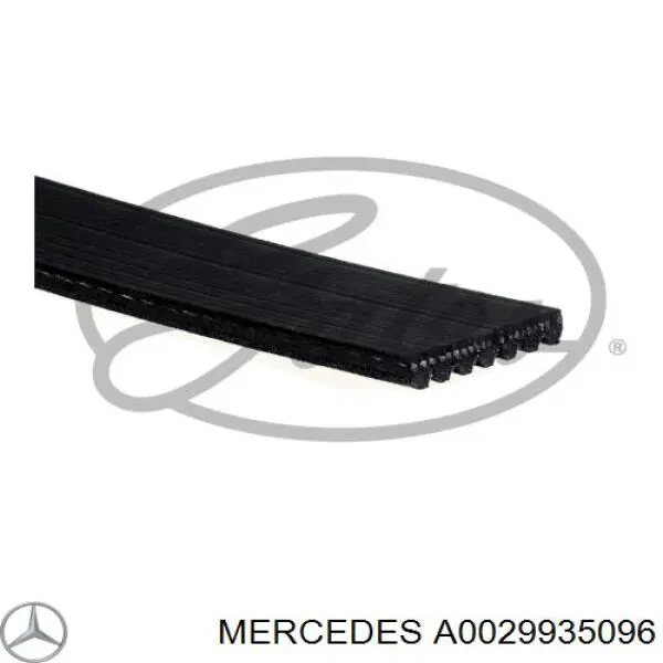 Correia dos conjuntos de transmissão Mercedes A0029935096 preço, a partir de 26,50 USD