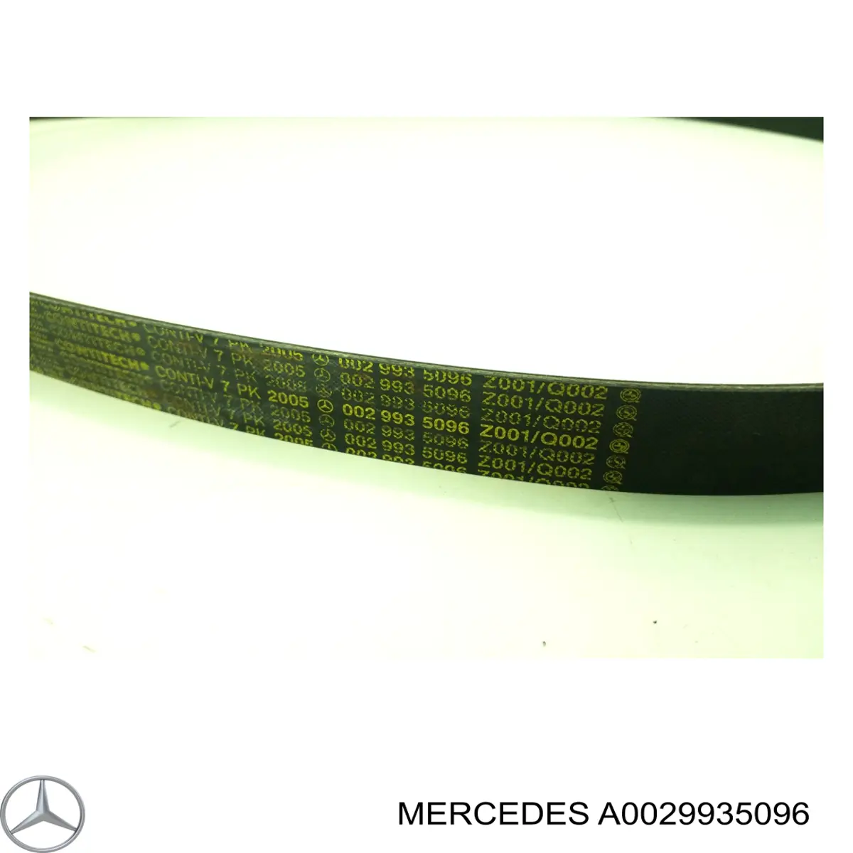 Compre A0029935096 Mercedes Correia dos conjuntos de transmissão