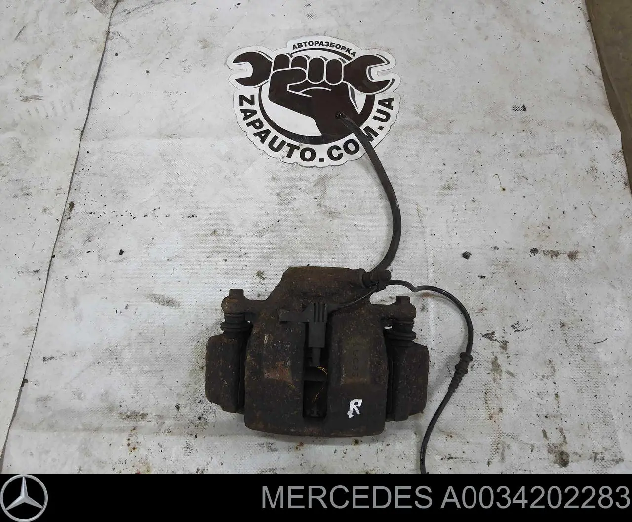 A0034202283 Mercedes Suporte do freio dianteiro direito