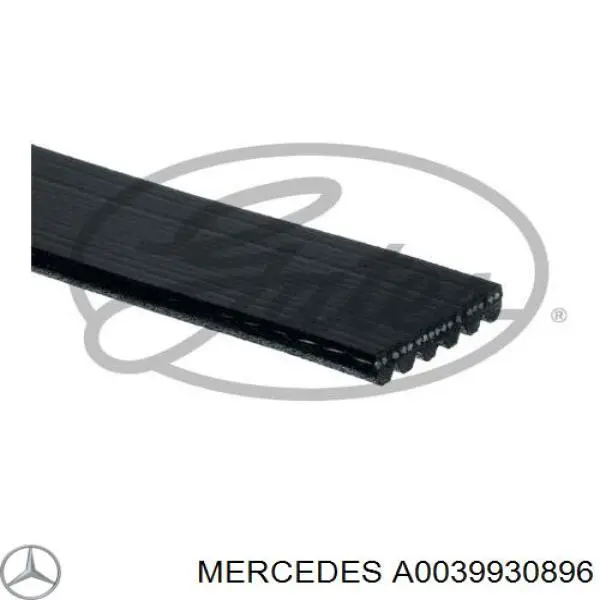 Correia dos conjuntos de transmissão Mercedes A0039930896 preço, a partir de 32,03 USD