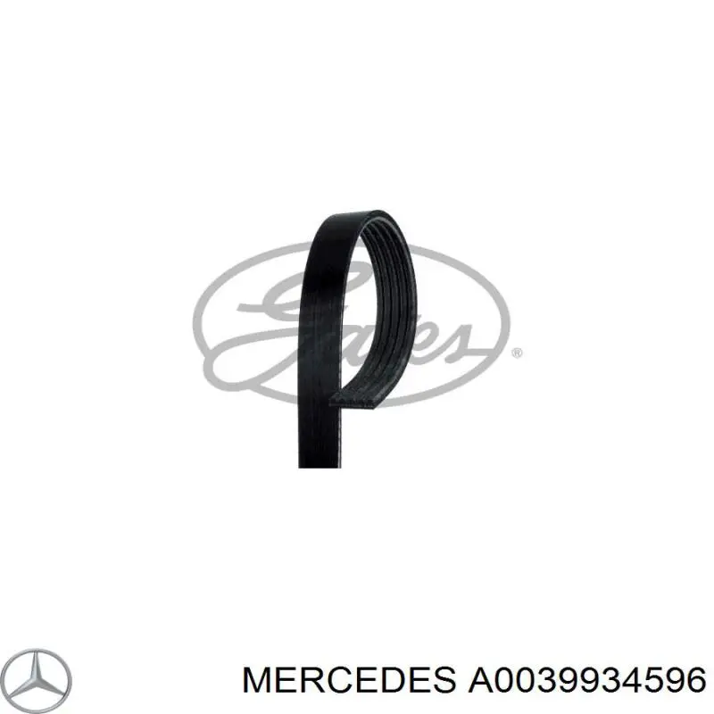 A0039934596 Mercedes Correia dos conjuntos de transmissão
