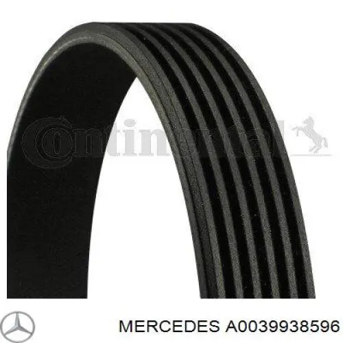 A0039938596 Mercedes Correia dos conjuntos de transmissão