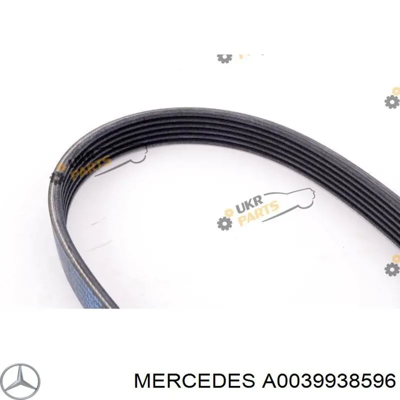 Correia dos conjuntos de transmissão Mercedes A0039938596 preço, a partir de 23,26 USD