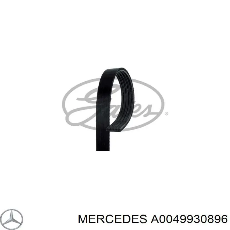 A0049930896 Mercedes Correia dos conjuntos de transmissão