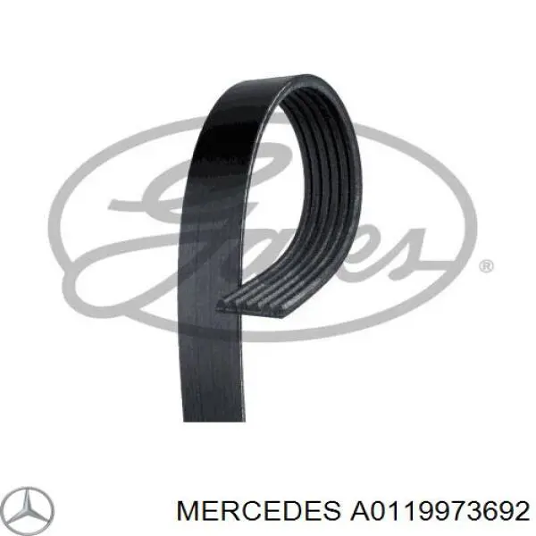 0119973692 Mercedes Correia dos conjuntos de transmissão
