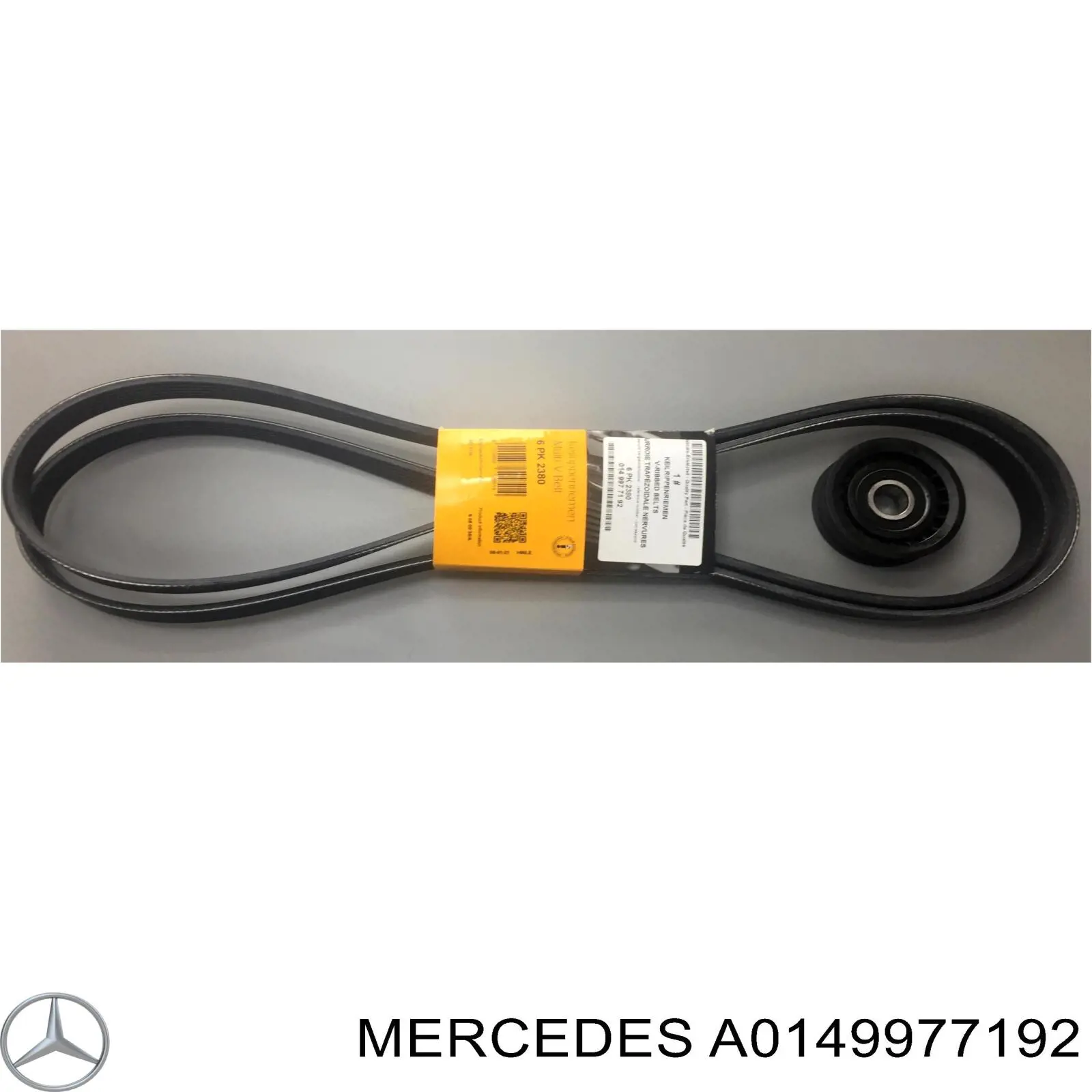 Correia dos conjuntos de transmissão Mercedes A0149977192 preço, a partir de 32,77 USD
