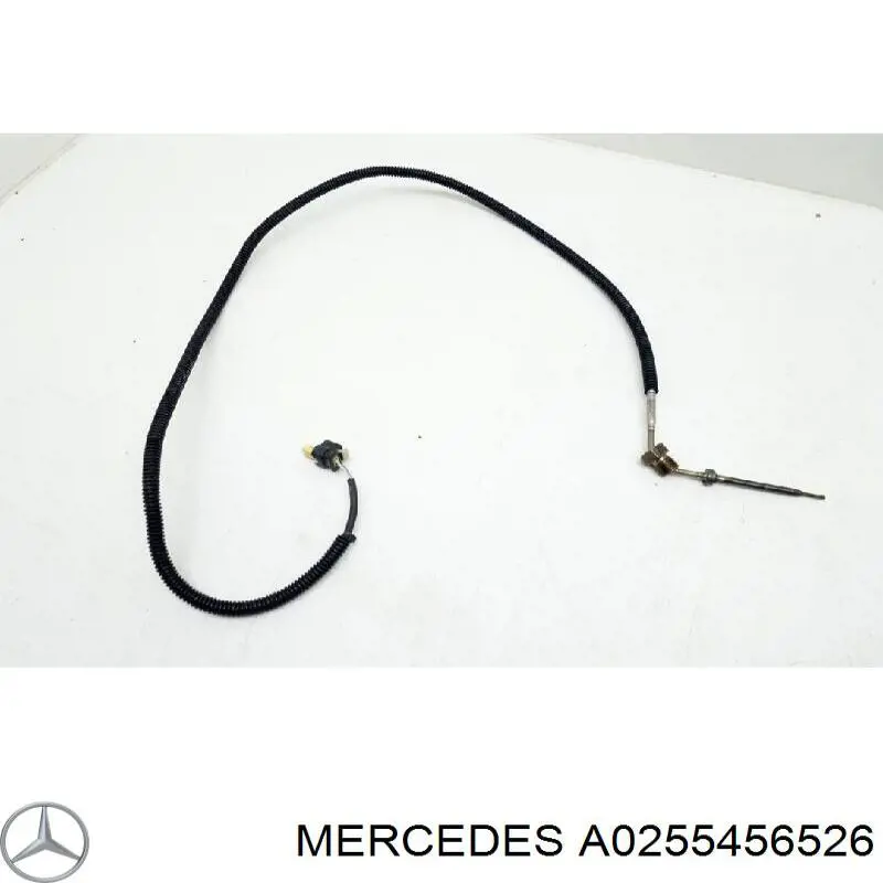 0255456526 Mercedes 