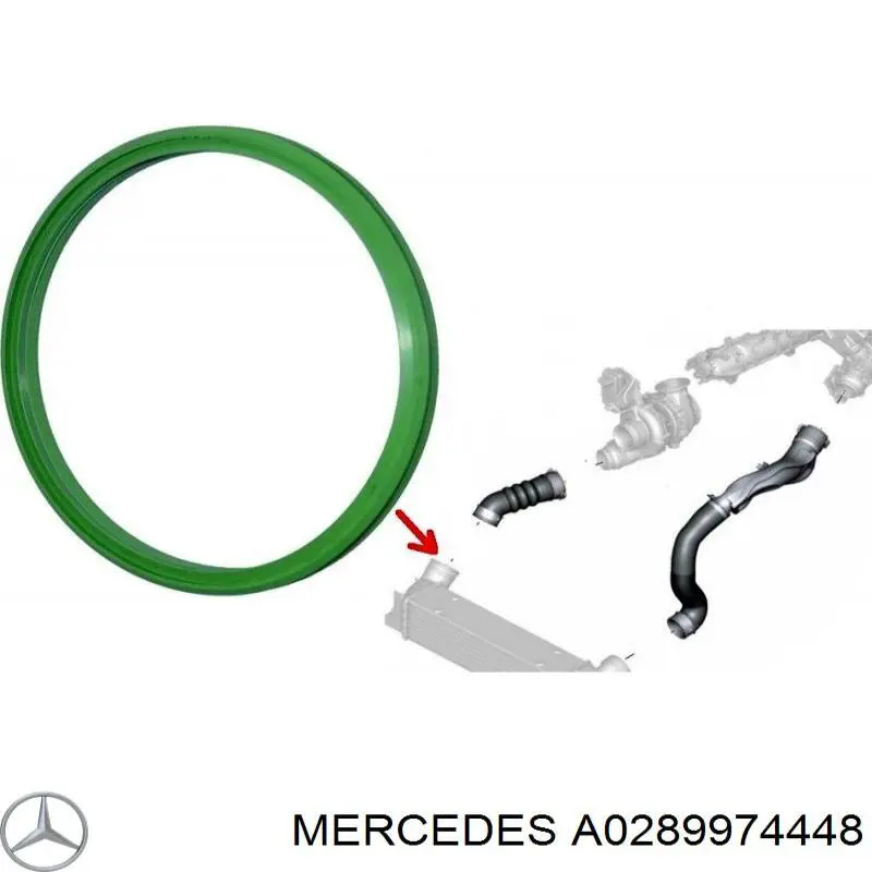Anel de vedação (vedante) de cano derivado de intercooler Mercedes A0289974448 preço, a partir de 6,99 USD