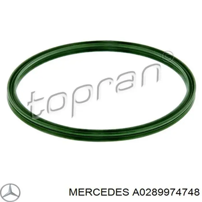 A0289974748 Mercedes Anel de vedação (vedante) de cano derivado de intercooler