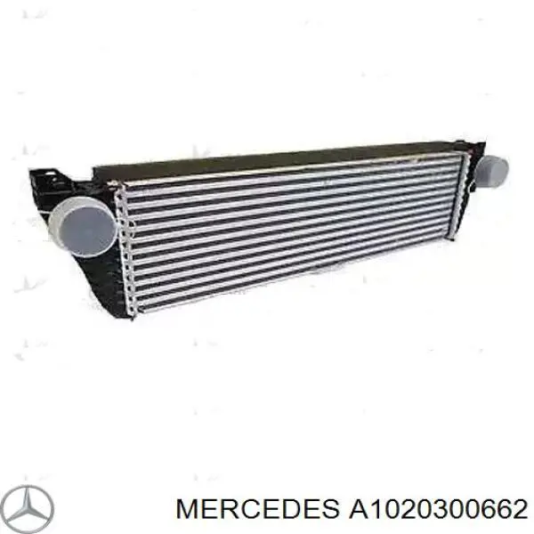 Compre A1020300862 Mercedes 