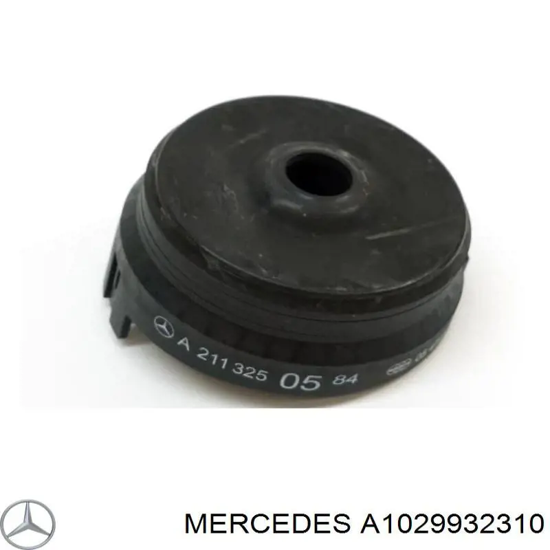 A1029931110 Mercedes 