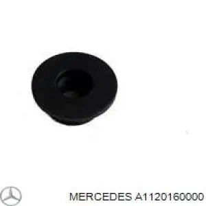 A1120160000 Mercedes Anel de vedação da guia de sonda do nível de óleo de motor