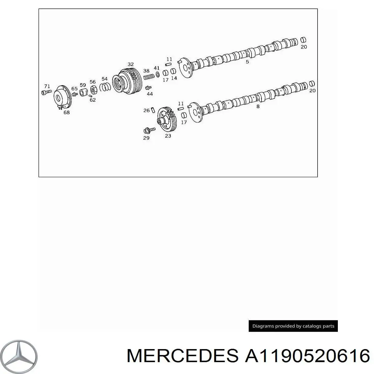A1190520616 Mercedes Amortecedor de cadeia do mecanismo de distribuição de gás, esquerdo