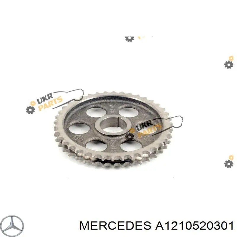 Compre A1210520301 Mercedes Engrenagem de cadeia da roda dentada da árvore distribuidora de motor