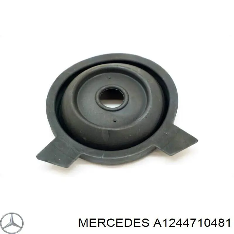 A1244710481 Mercedes 