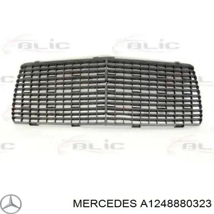 A1248880323 Mercedes Grelha do radiador
