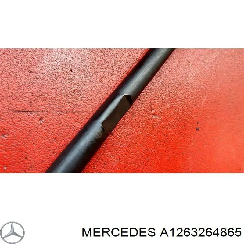 A1263264865 Mercedes Estabilizador traseiro