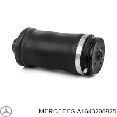 A1643200825 Mercedes Coxim pneumático (suspensão de lâminas pneumática) do eixo traseiro