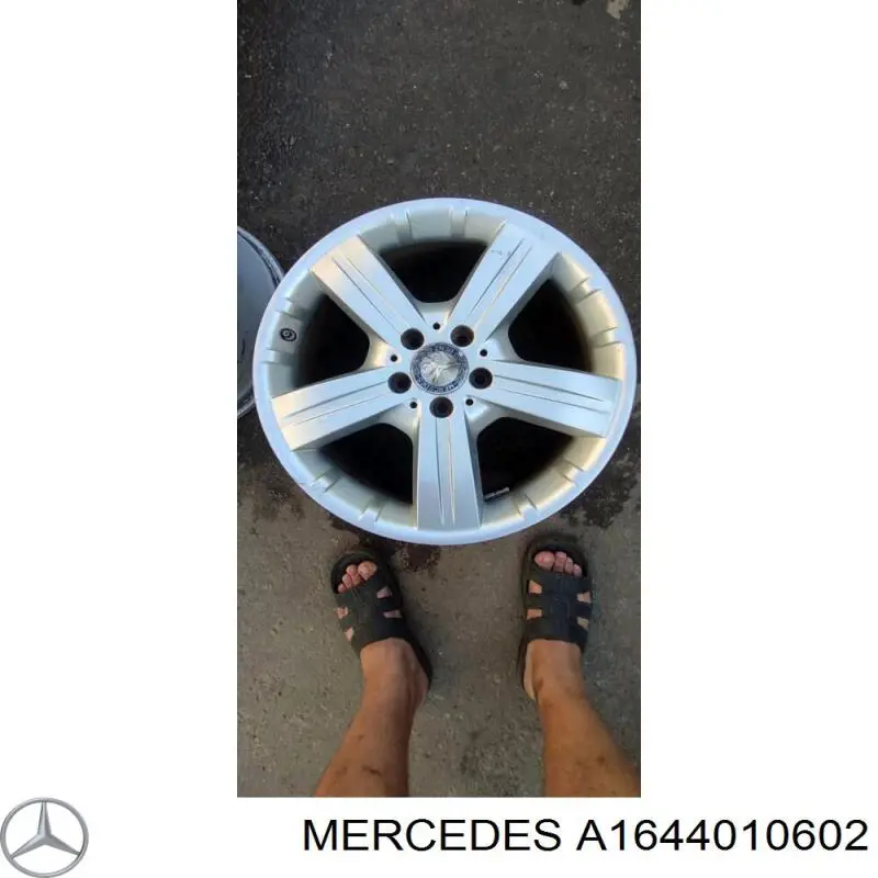 A1644010602 Mercedes 
