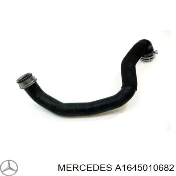 A1645010682 Mercedes Mangueira (cano derivado) do radiador de esfriamento superior