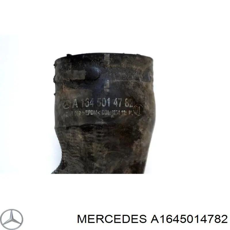 Mangueira (cano derivado) inferior do radiador de esfriamento Mercedes A1645014782 preço, a partir de 28,88 USD