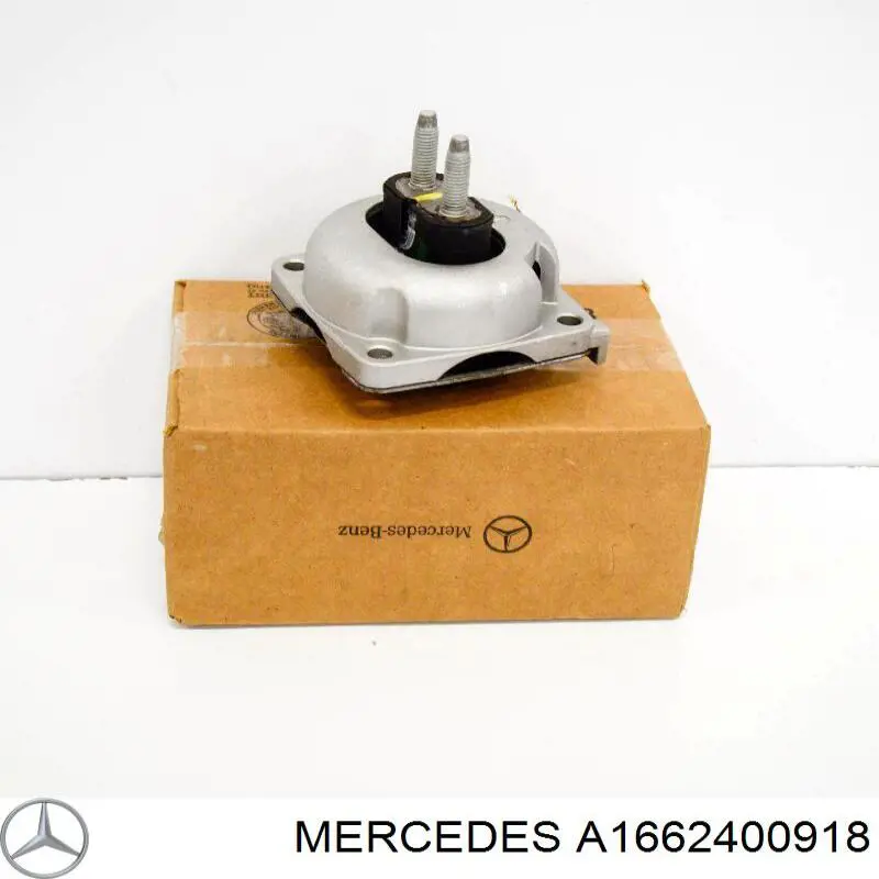 A1662400918 Mercedes Coxim de transmissão (suporte da caixa de mudança)