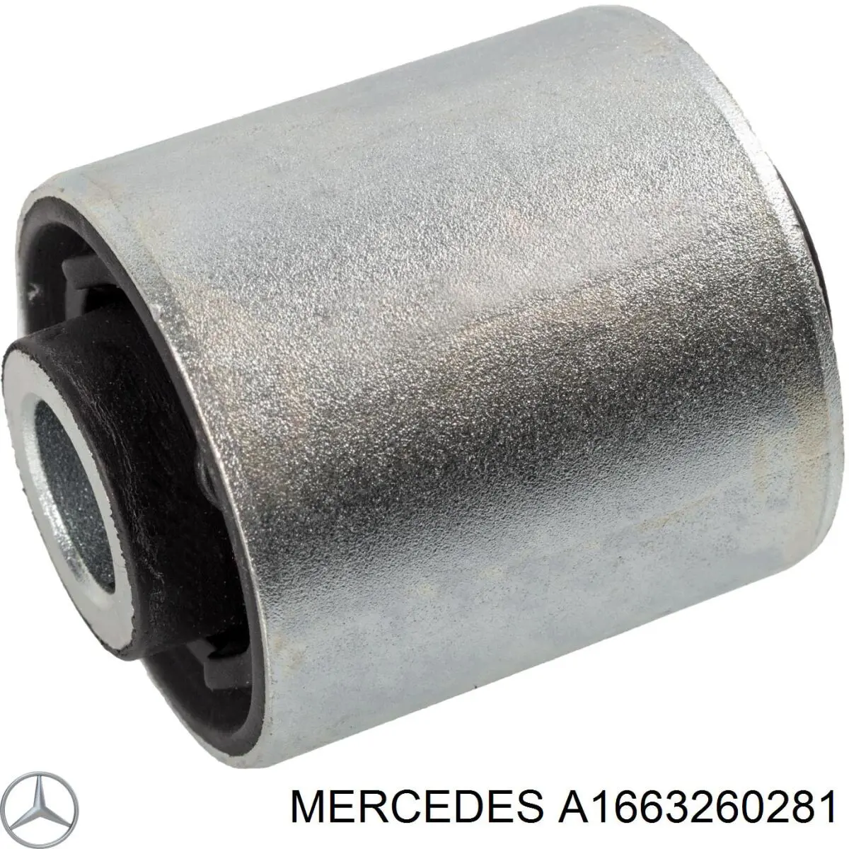 A1663260281 Mercedes Bloco silencioso do braço oscilante inferior traseiro
