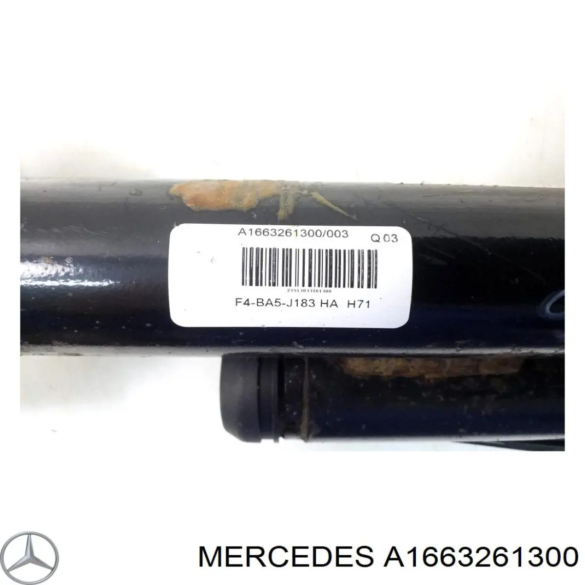 A1663261300 Mercedes 