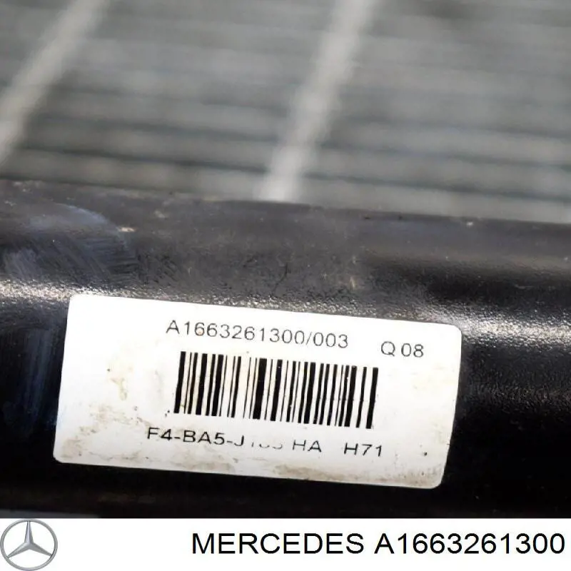  Mercedes A1663261300