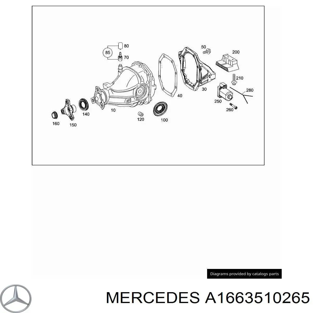 A1663510265 Mercedes 
