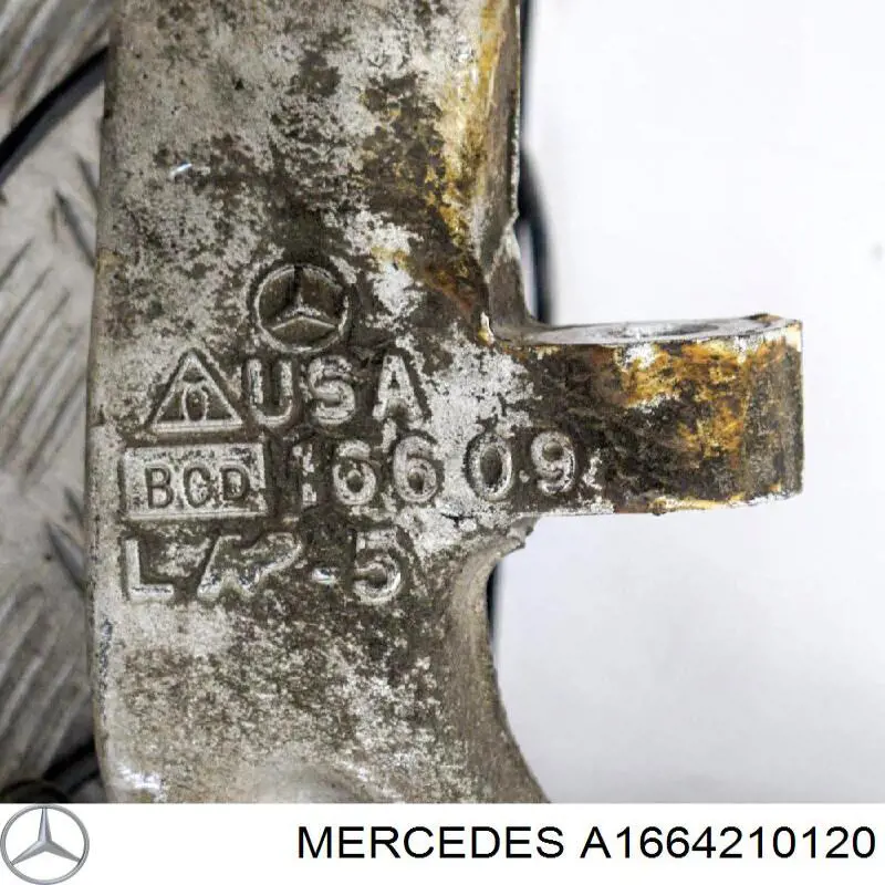A1664210120 Mercedes Proteção do freio de disco dianteiro esquerdo