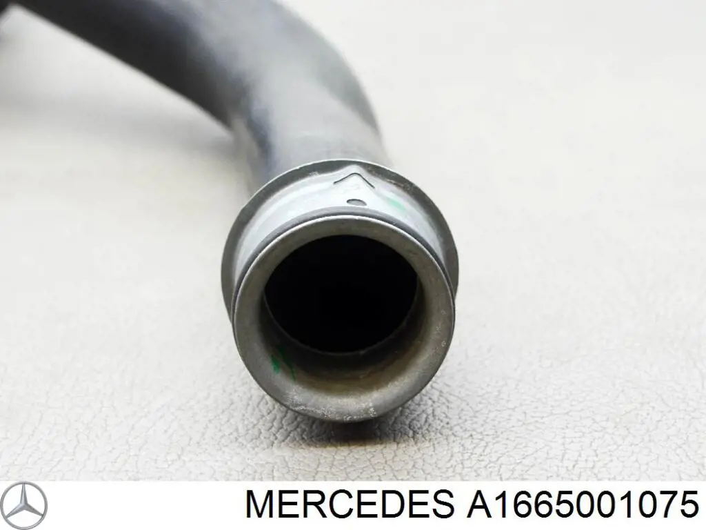 Mangueira (cano derivado) do radiador de esfriamento superior Mercedes A1665001075 preço, a partir de 49,68 USD