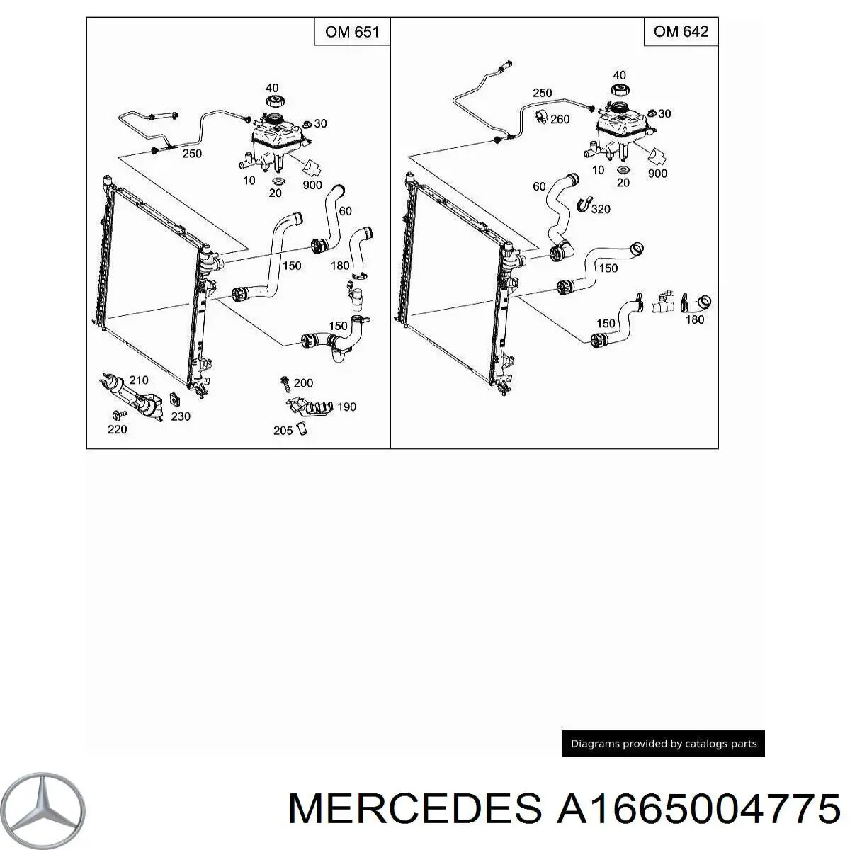 A1665004775 Mercedes Mangueira (cano derivado) inferior do radiador de esfriamento