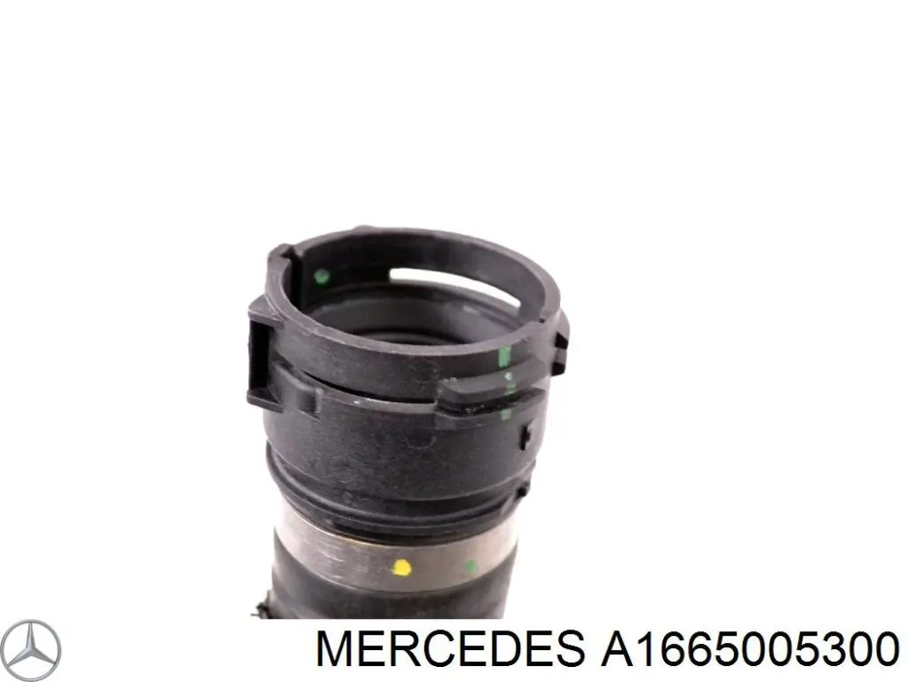 Mangueira (cano derivado) do radiador de esfriamento superior Mercedes A1665000975 preço, a partir de 71,12 USD