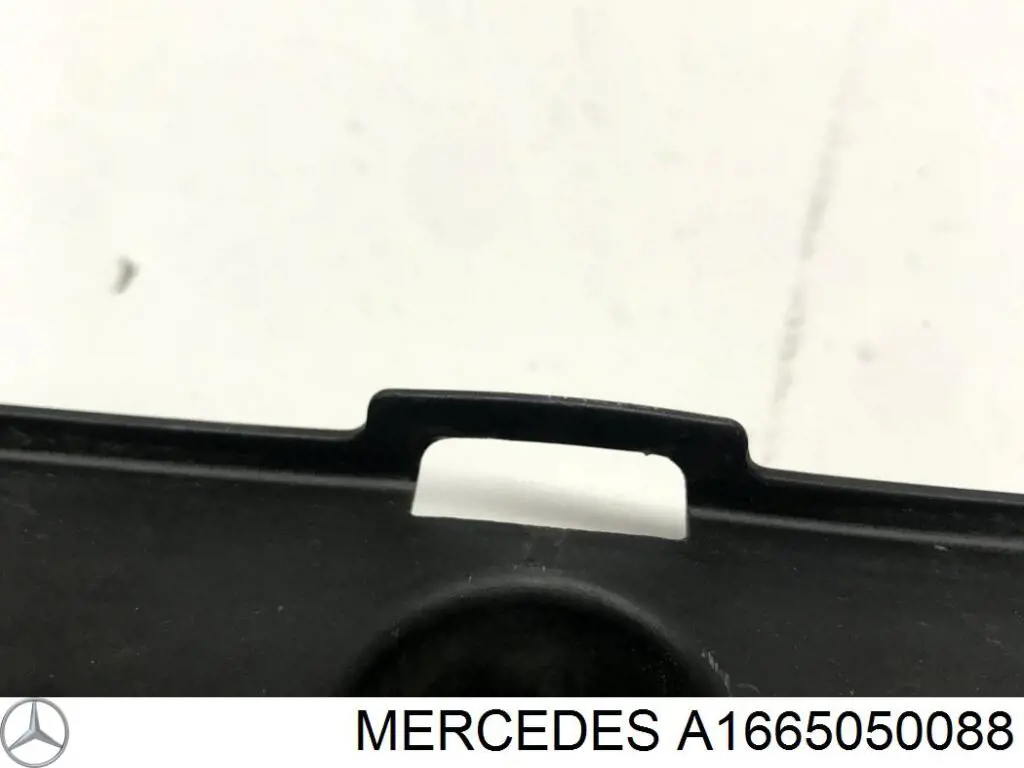 A1665050088 Mercedes 
