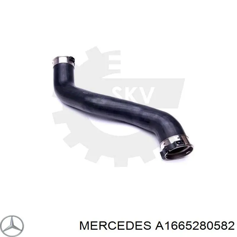 Mangueira (cano derivado) de intercooler Mercedes A1665280582 preço, a partir de 77,10 USD