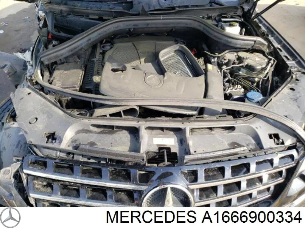  A1666900334 Mercedes
