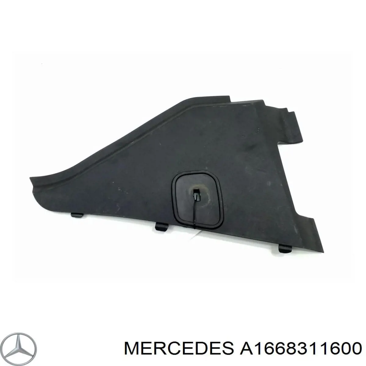 A1668310141 Mercedes 