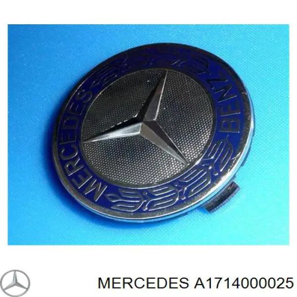 A1714000025 Mercedes Coberta de disco de roda