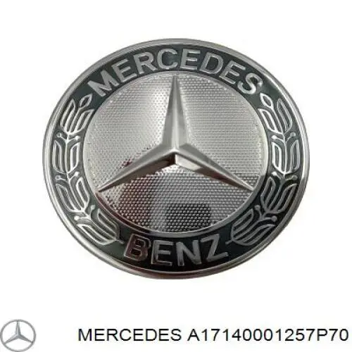 Compre A17140001257P70 Mercedes 