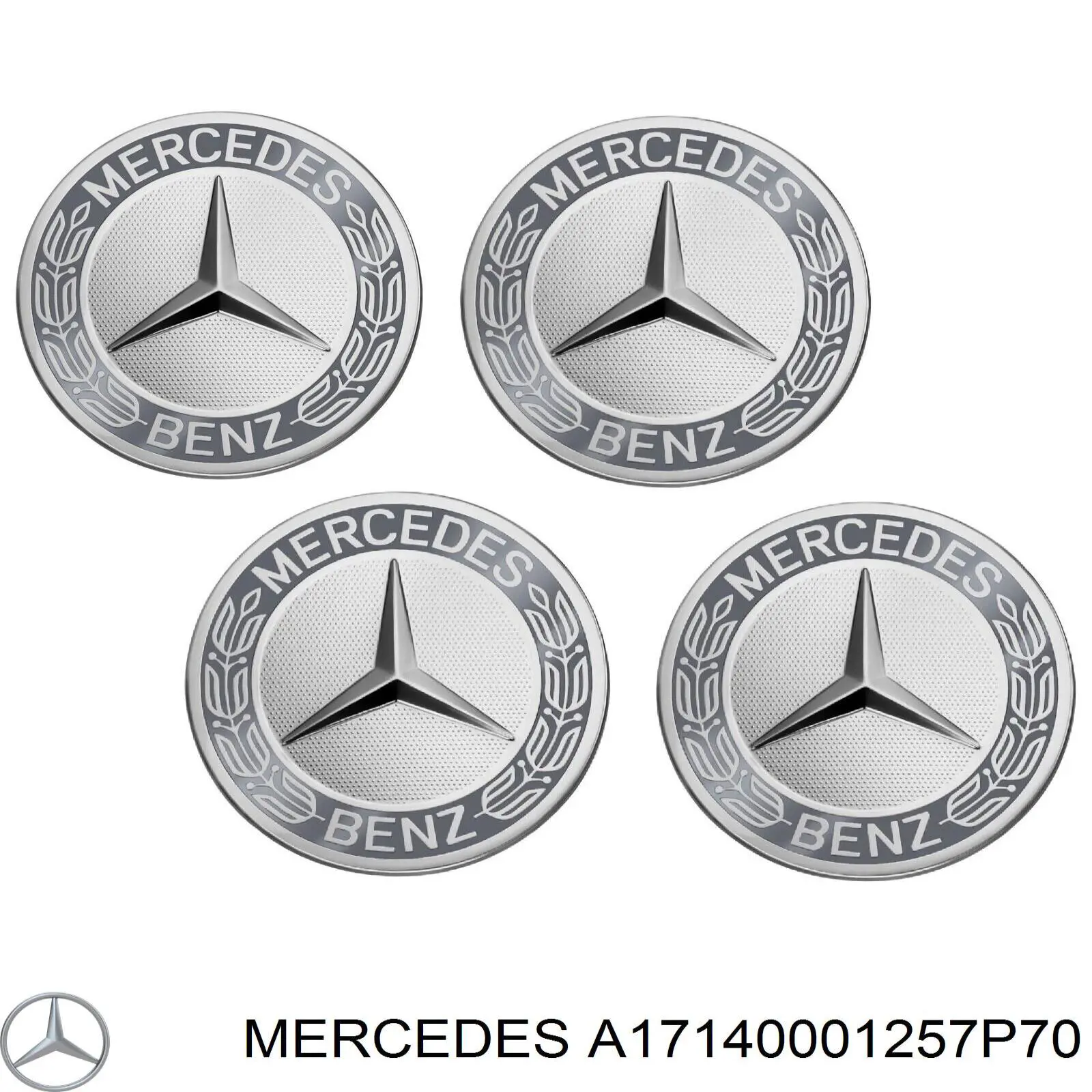  A17140001257P70 Mercedes