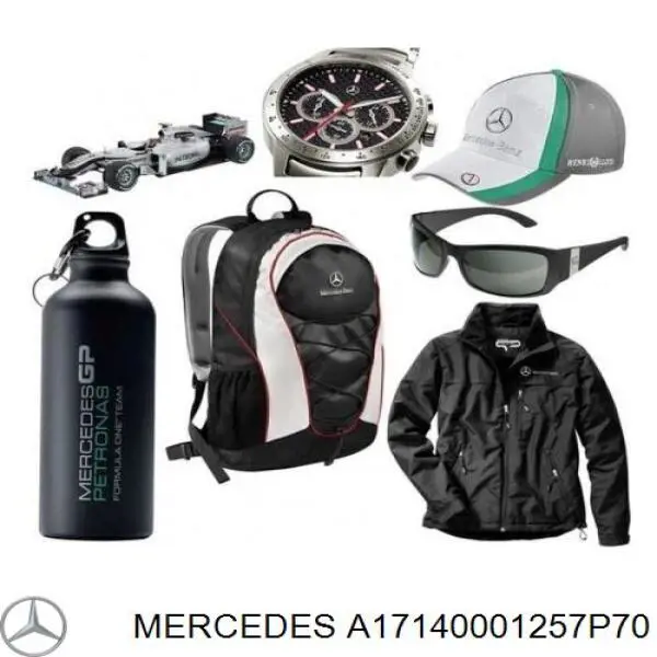 A17140001257P70 Mercedes 