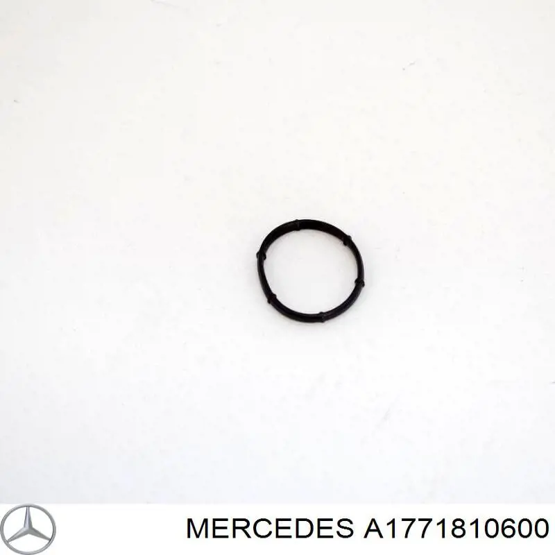 1771810600 Mercedes 