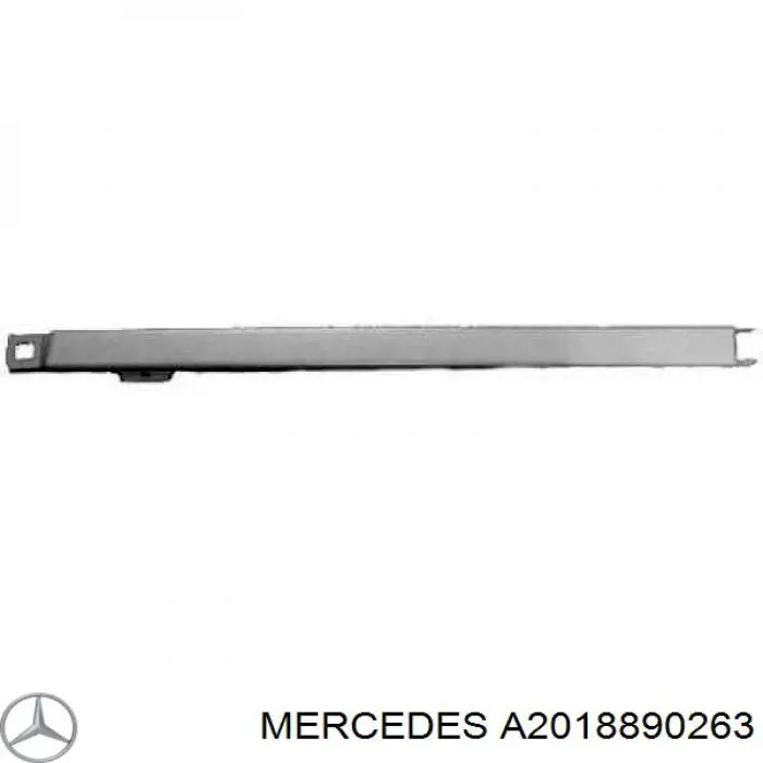 A2018890263 Mercedes Ripa (placa sobreposta) da luz direita
