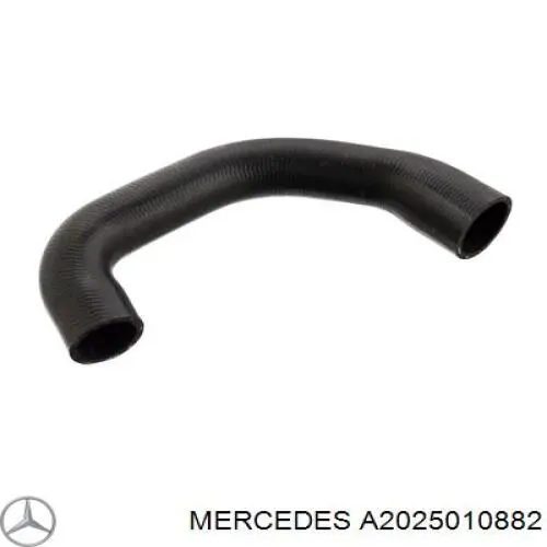 A2025010882 Mercedes Mangueira (cano derivado) do radiador de esfriamento superior