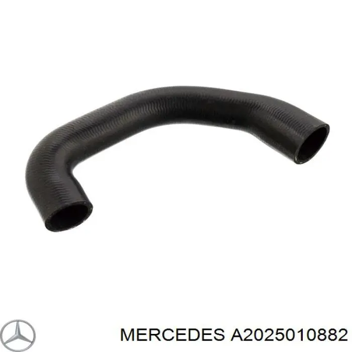 Mangueira (cano derivado) do radiador de esfriamento superior Mercedes A2025010882 preço, a partir de 9,49 USD