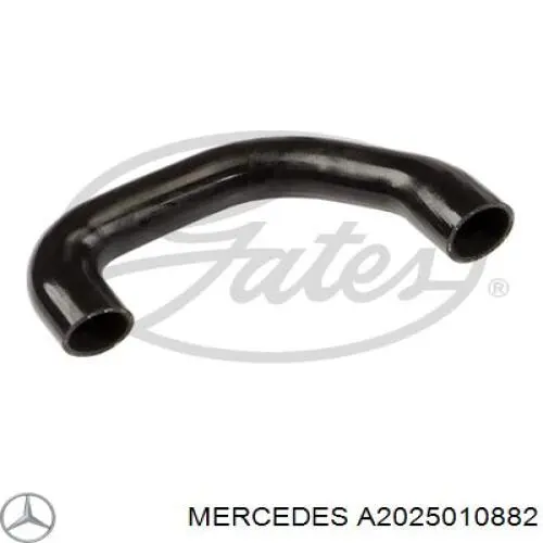 Compre A2025010882 Mercedes Mangueira (cano derivado) do radiador de esfriamento superior